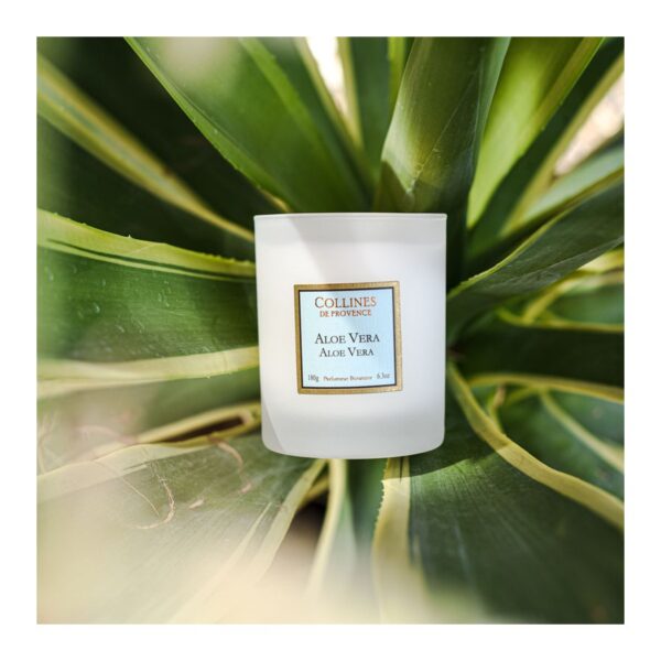 Aloe Vera - Bougie Parfumée 180g