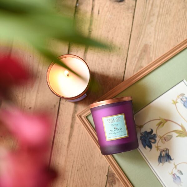 Figue & Aloe Vera - Bougie Parfumée 180g
