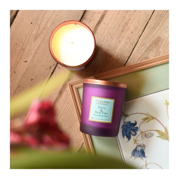 Figue & Aloe Vera - Bougie Parfumée 180g