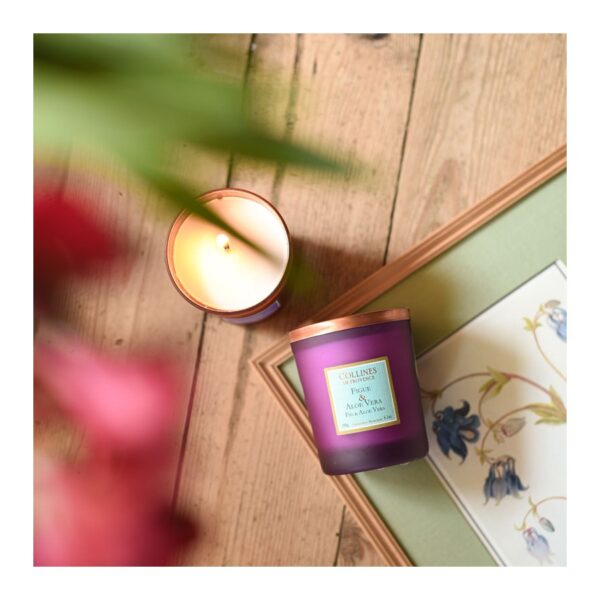 Figue & Aloe Vera - Bougie Parfumée 180g