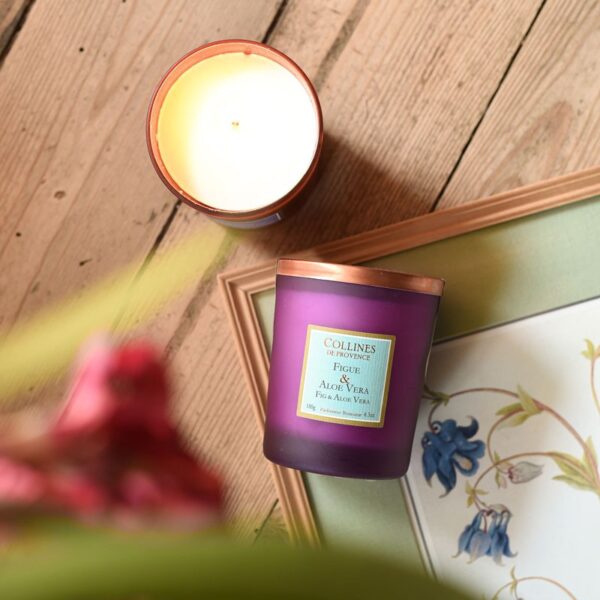 Figue & Aloe Vera - Bougie Parfumée 180g