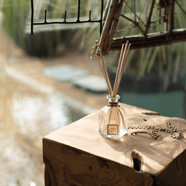 Infusion d'Agrumes - Bouquet Parfumé 100ml