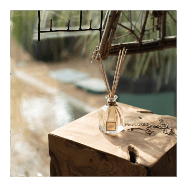 Infusion d'Agrumes - Bouquet Parfumé 100ml