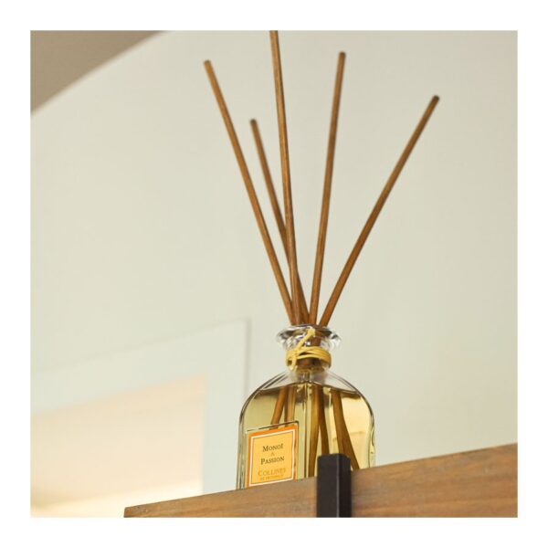 Monoï & Passion - Bouquet Parfumé 500ml