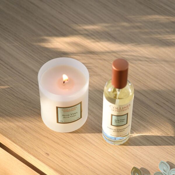 Aloe Vera - Parfum d'Intérieur 100ml