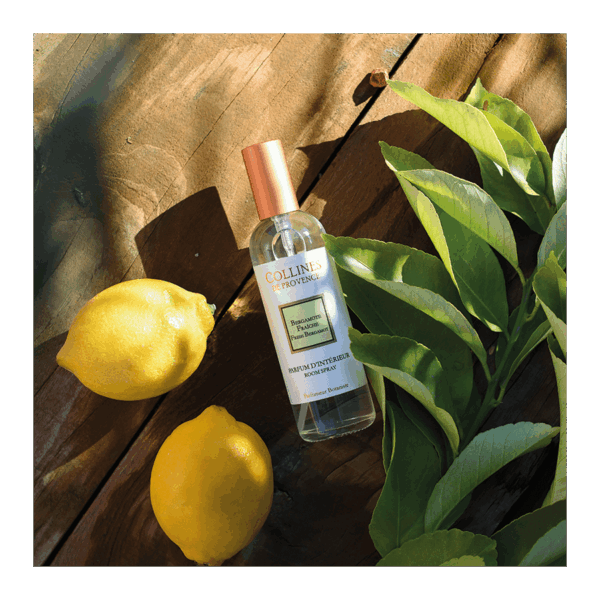 Bergamote Fraîche - Parfum d'Intérieur 100ml