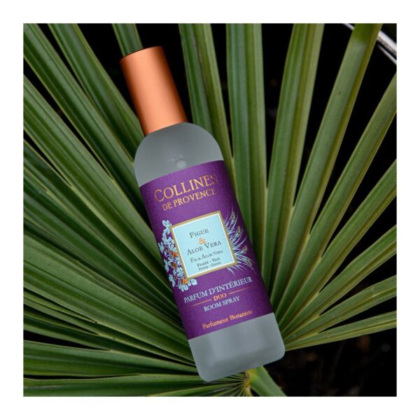 Figue & Aloe Vera - Parfum d'Interieur 100ml