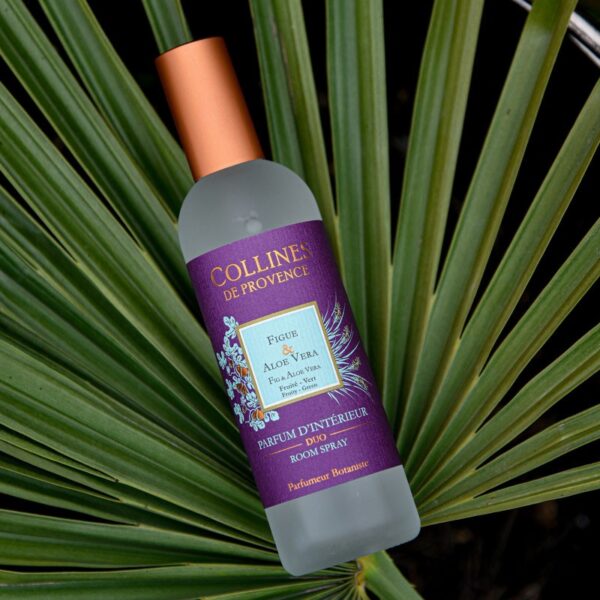 Figue & Aloe Vera - Parfum d'Interieur 100ml