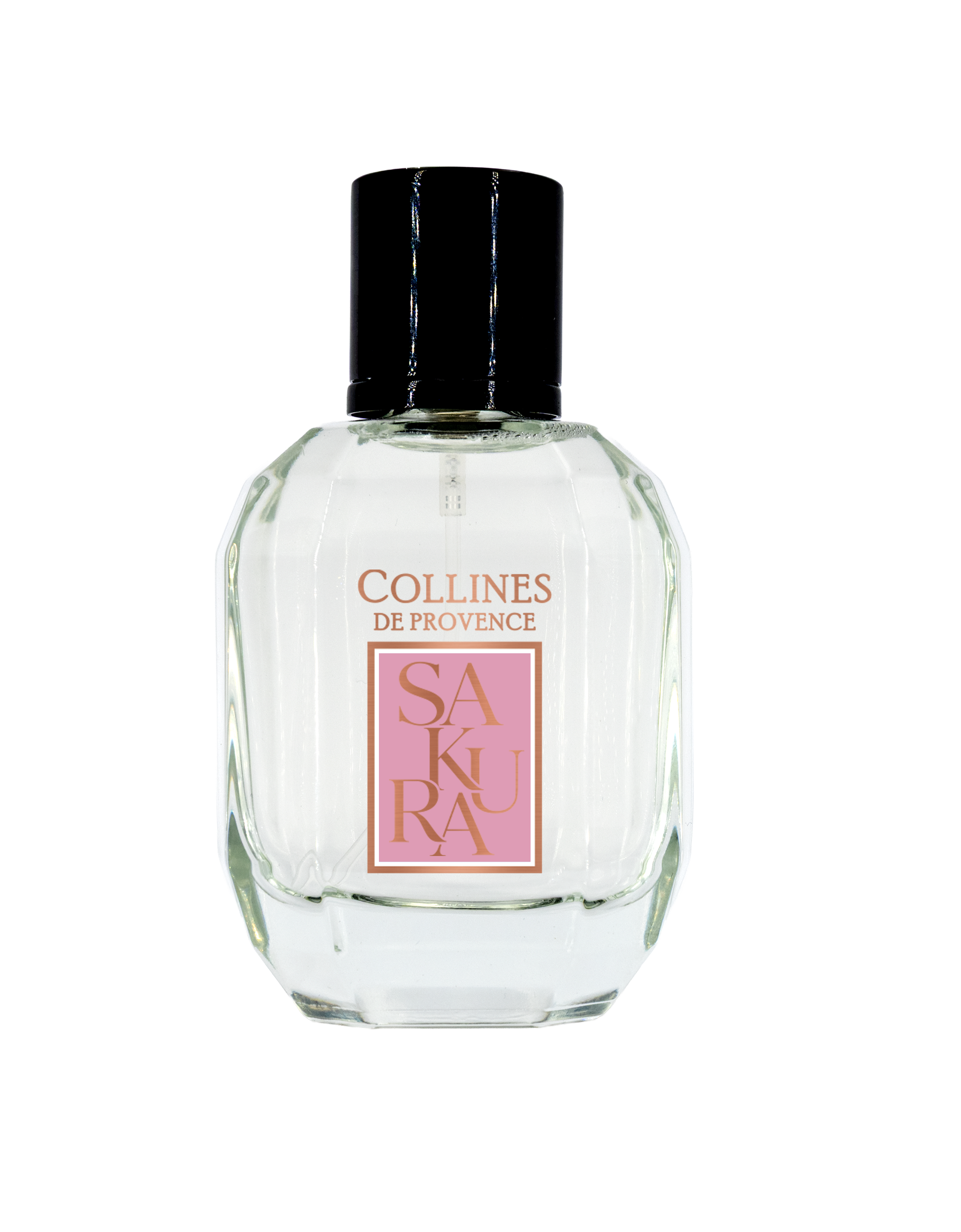 Fleur de Sakura - Coffret Eau Fraîche 50ml et Eventail